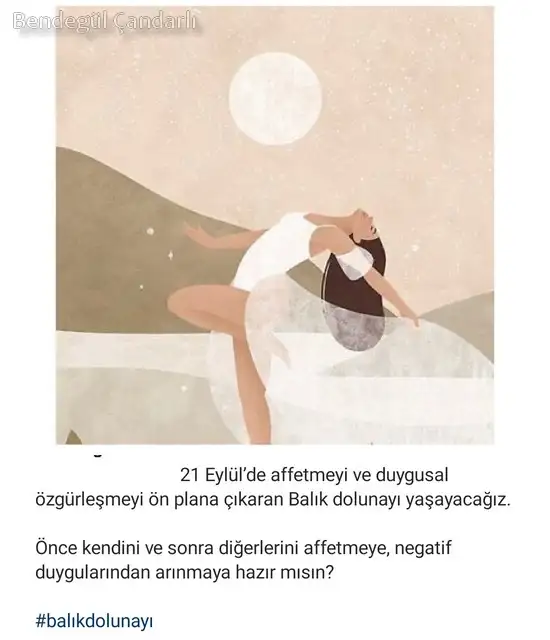 bakl2.webp