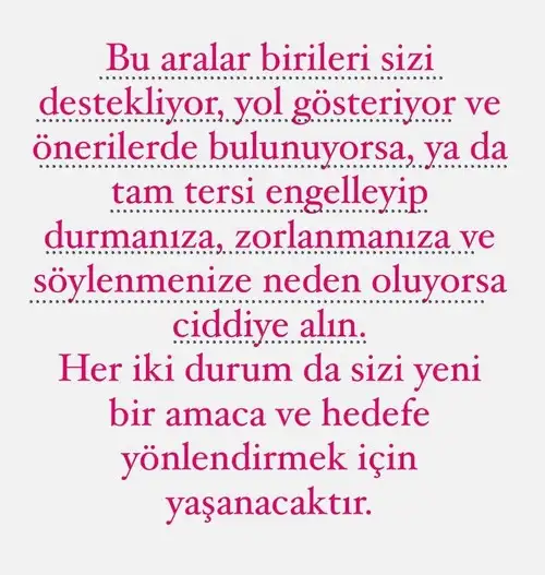 bal1 (1).webp