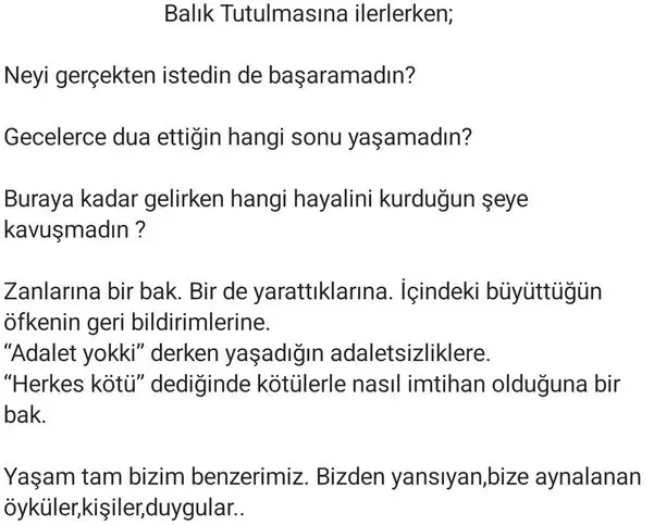 bal1 (2) - Kopya.webp
