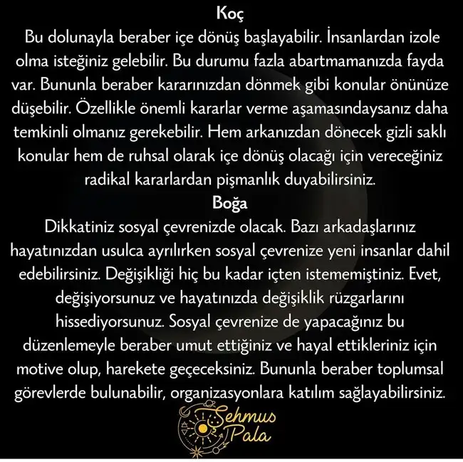 bal1 (2).webp