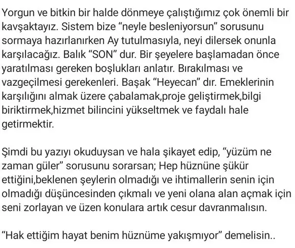 bal1 (2).webp
