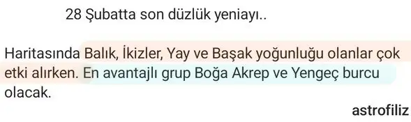 bal1 (2).webp