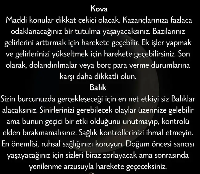 bal1 (8).webp