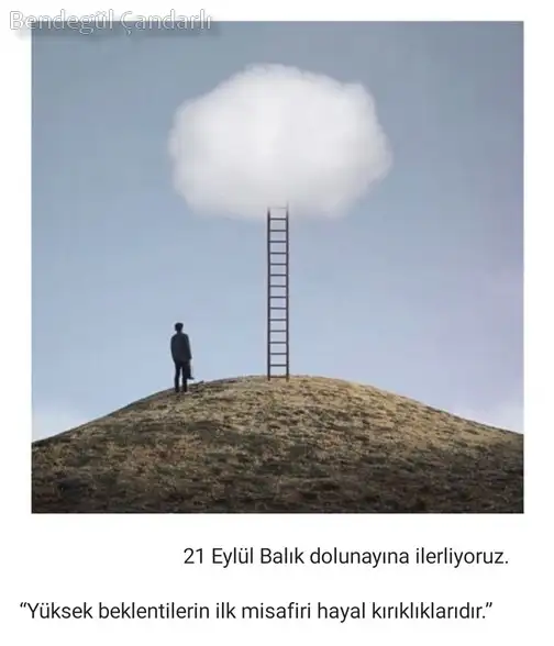 bal1.webp