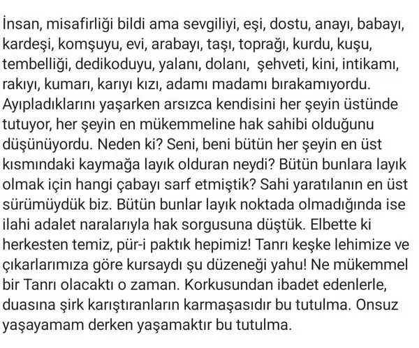 bal10 (2).webp