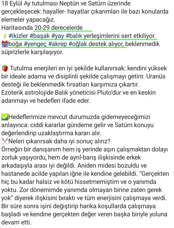 bal10 (2).webp