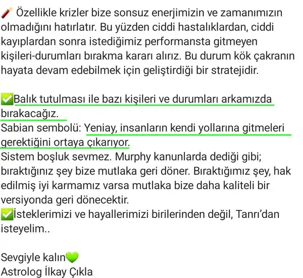 bal10 (3).webp
