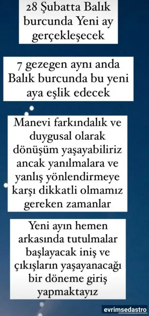 bal10.webp