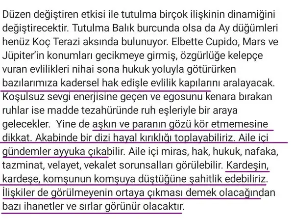 bal11 (2).webp