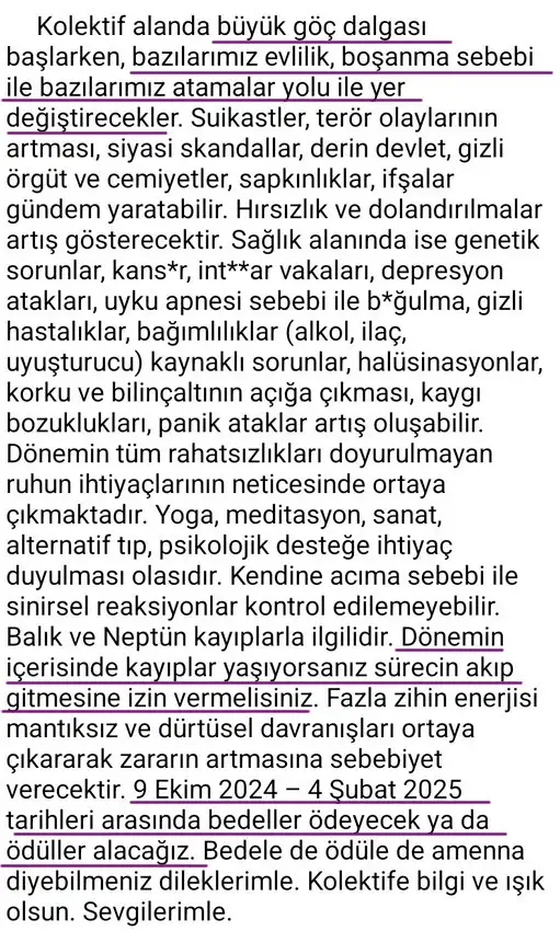 bal11 (5).webp