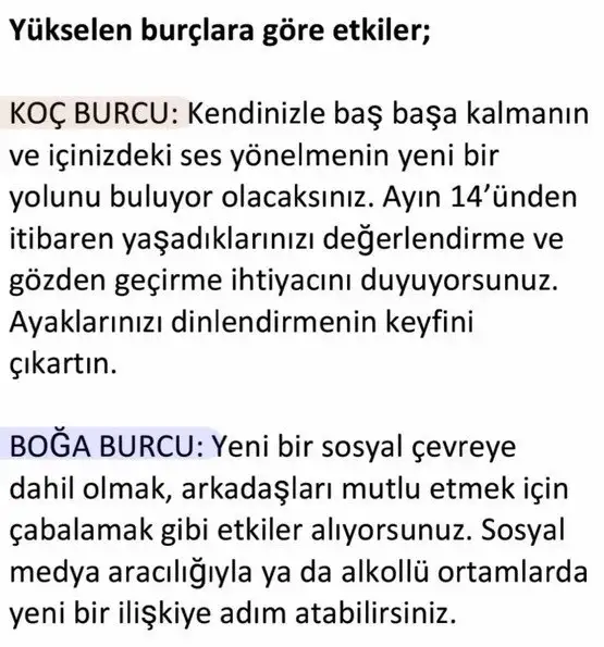 bal12 (1).webp