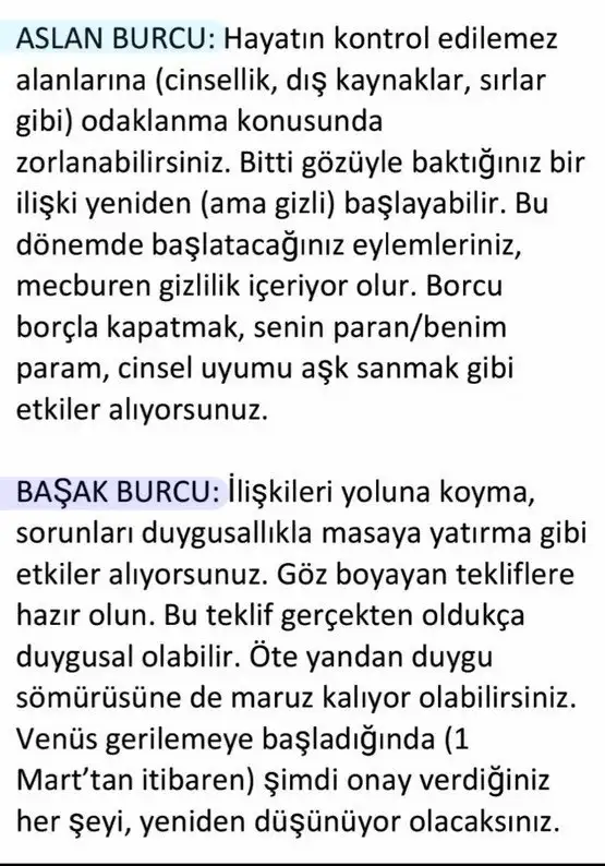 bal12 (3).webp