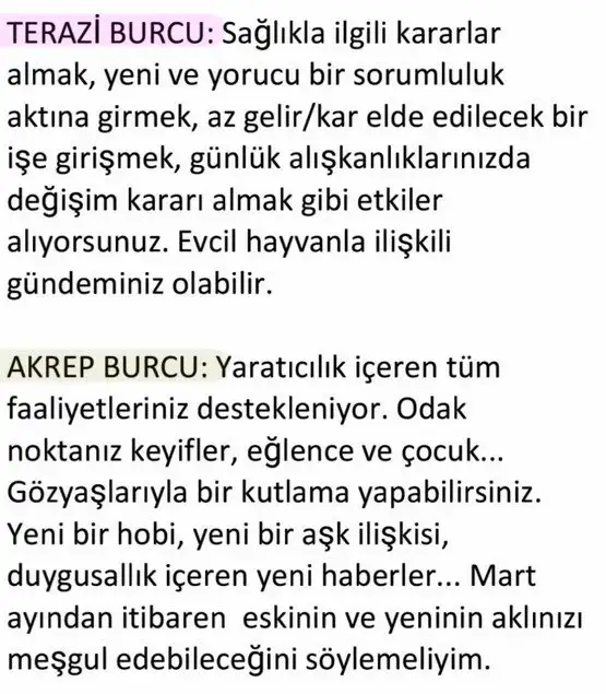 bal12 (4).webp