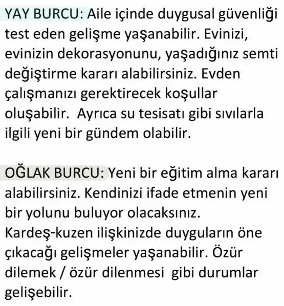 bal12 (5).webp