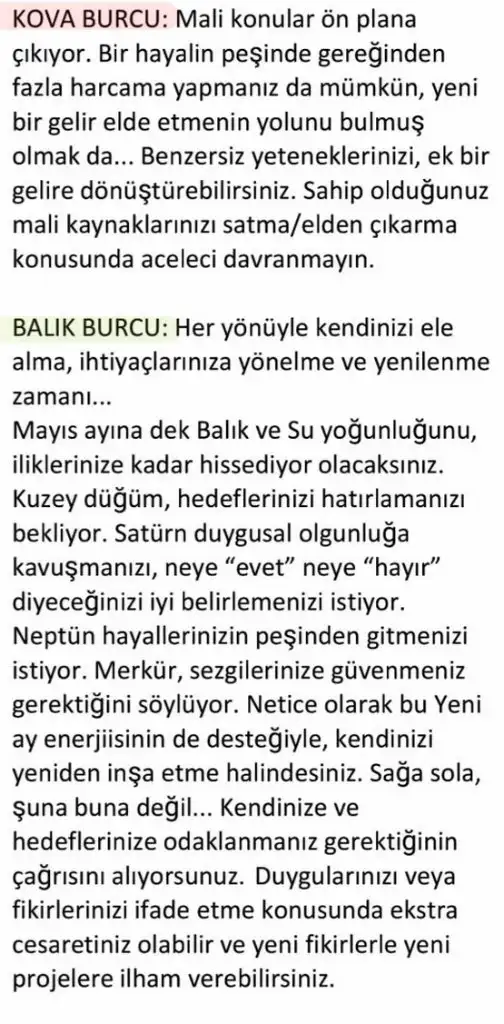 bal12 (6).webp