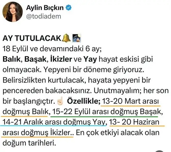 bal13.webp