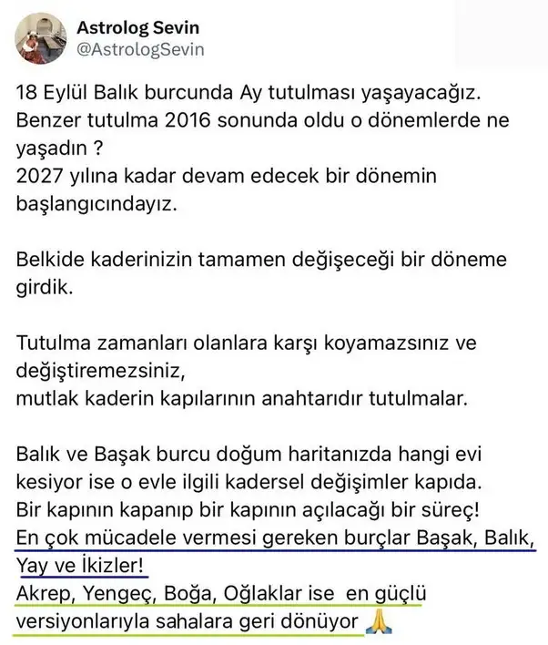 bal14.webp