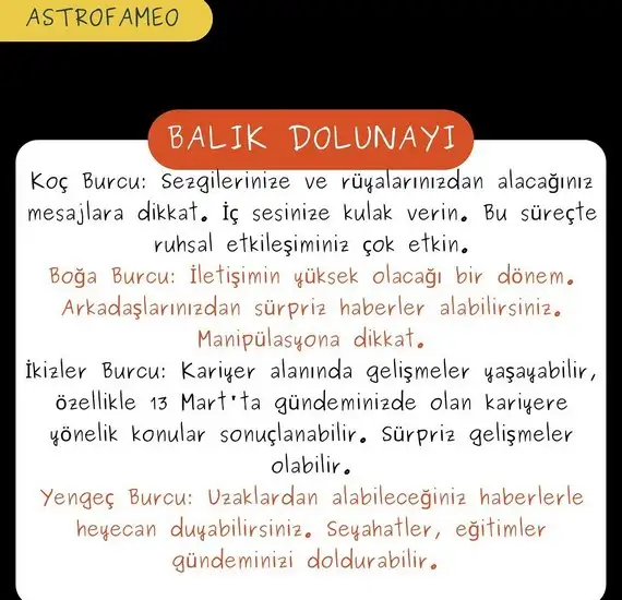 bal2 (1).webp