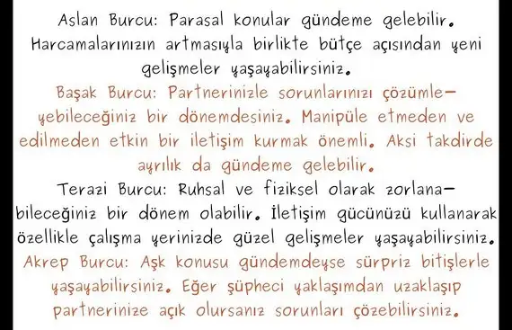 bal2 (2).webp