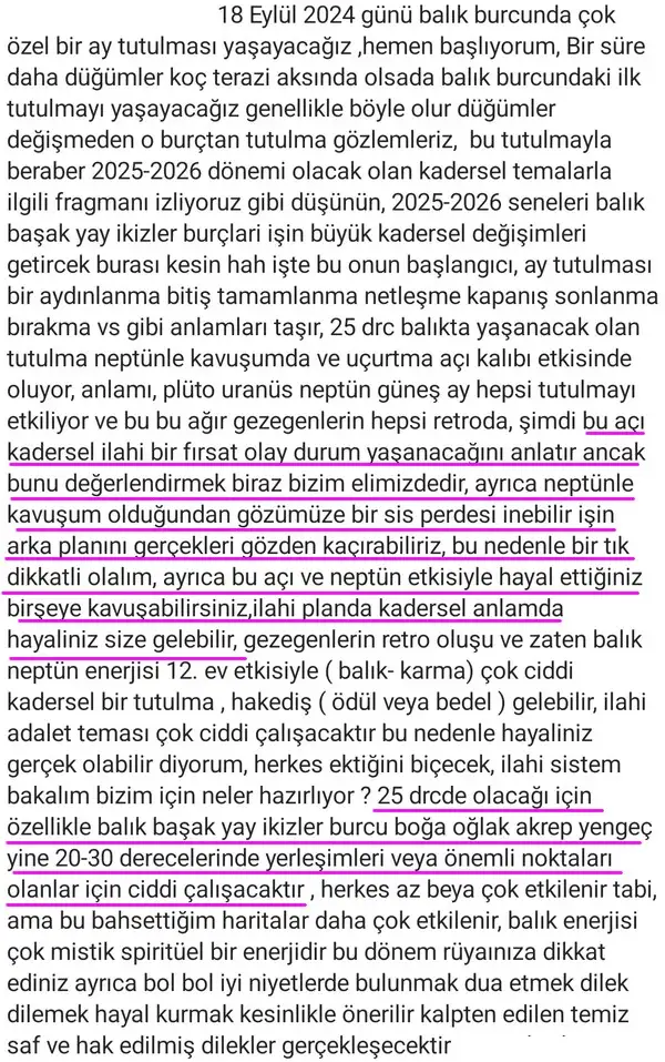 bal2 (2).webp