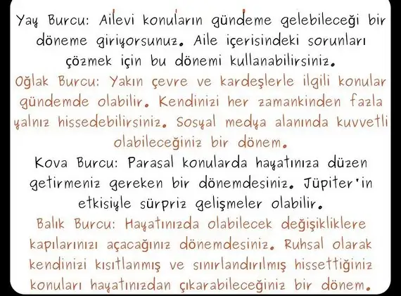 bal2 (3).webp