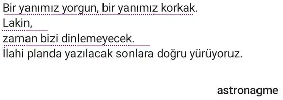 bal2 (4).webp