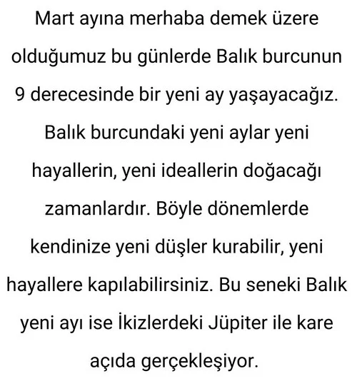bal20 (2).webp
