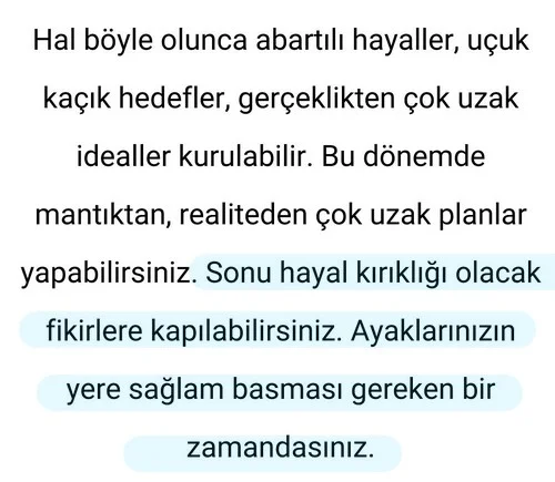 bal20 (3).webp