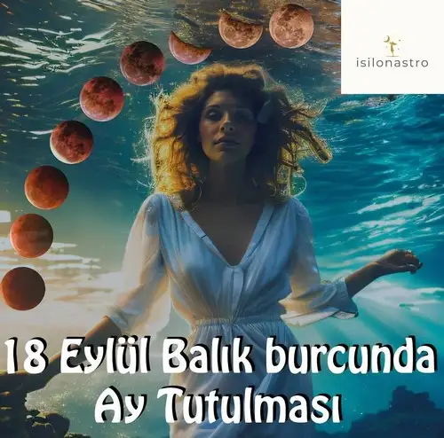 bal3 (1).webp