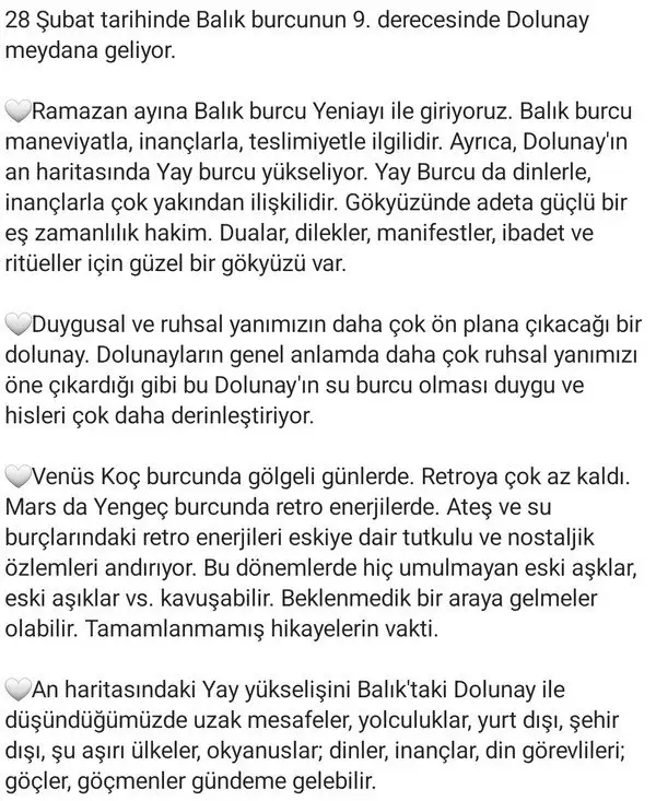 bal3 (2).webp