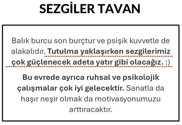 bal3 (4).webp
