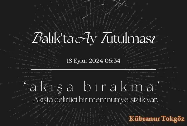 bal4 (1).webp