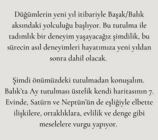 bal4 (3).webp