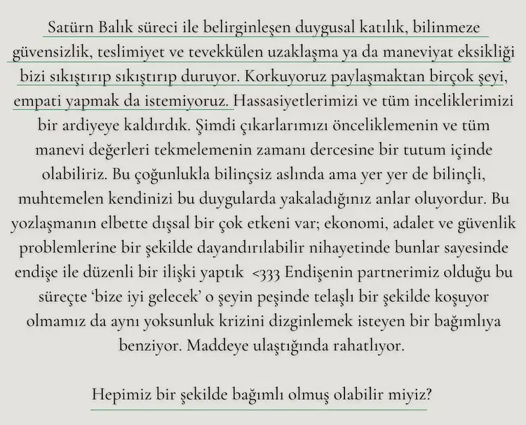 bal4 (5).webp