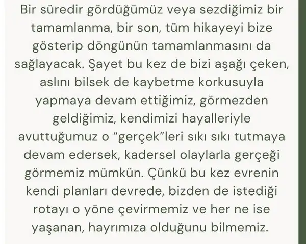 bal4 (5).webp