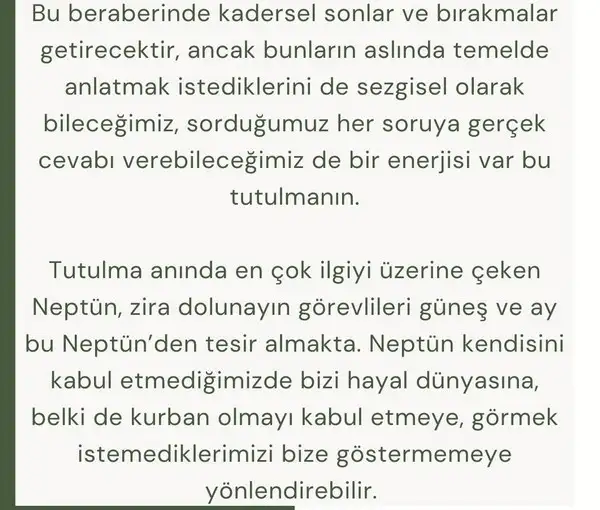 bal4 (6).webp