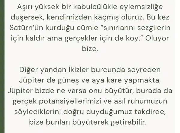bal4 (8).webp