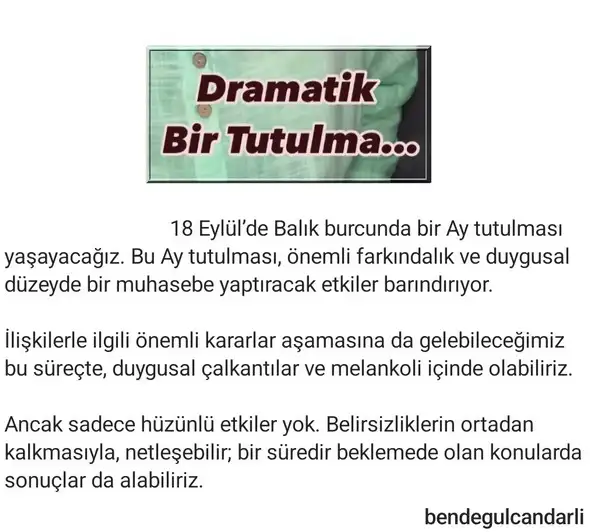 bal4.webp
