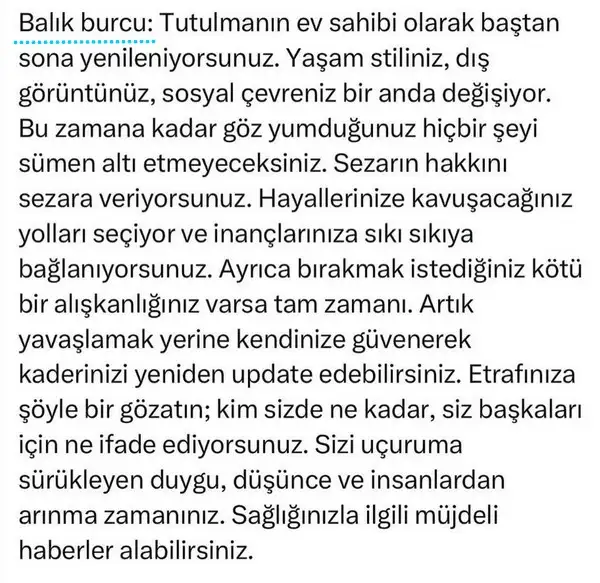 bal5 (12).webp