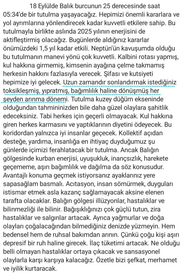 bal5 (13).webp