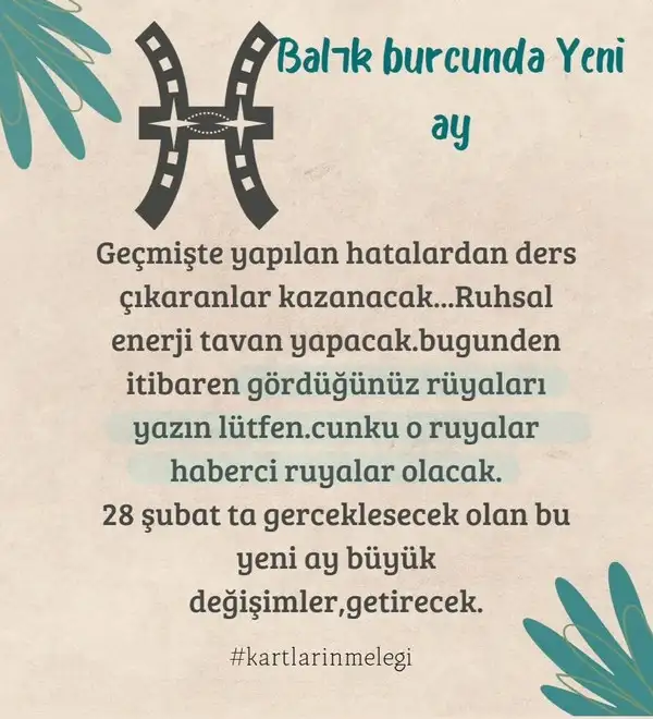 bal5.webp