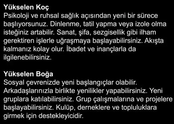 bal6 (1).webp