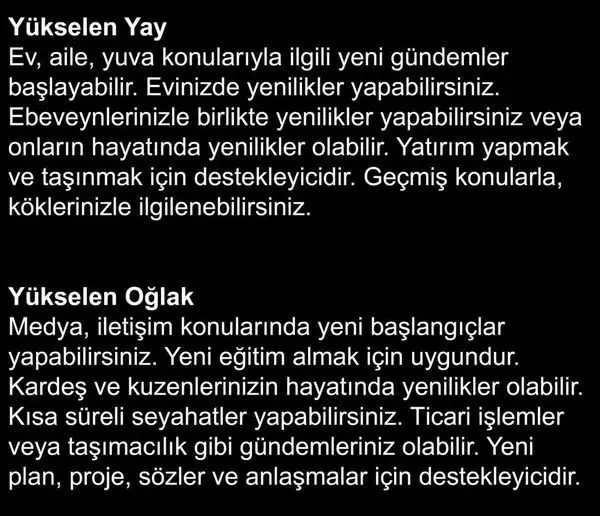 bal6 (5).webp