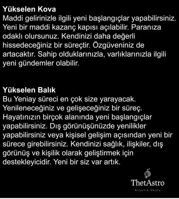 bal6 (6).webp