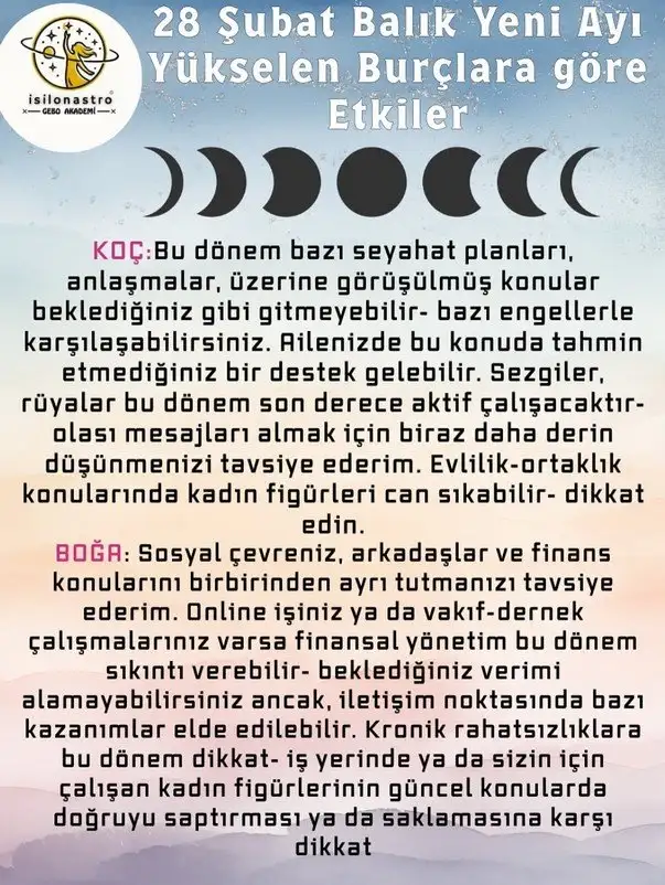 bal7 (1).webp