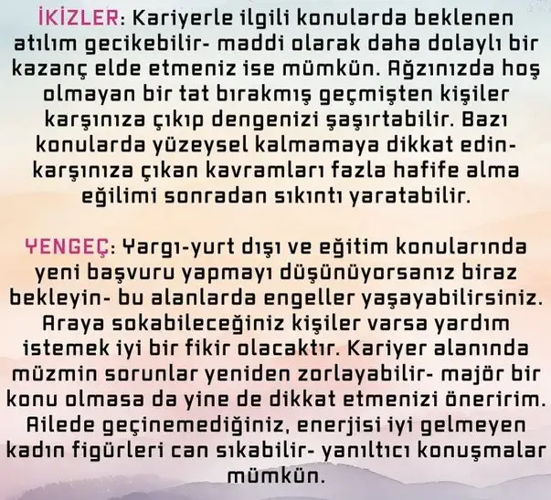 bal7 (2).webp