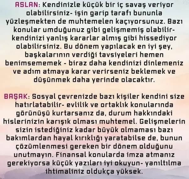 bal7 (3).webp