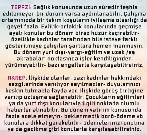 bal7 (4).webp