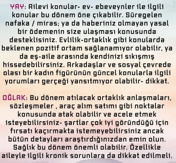 bal7 (5).webp