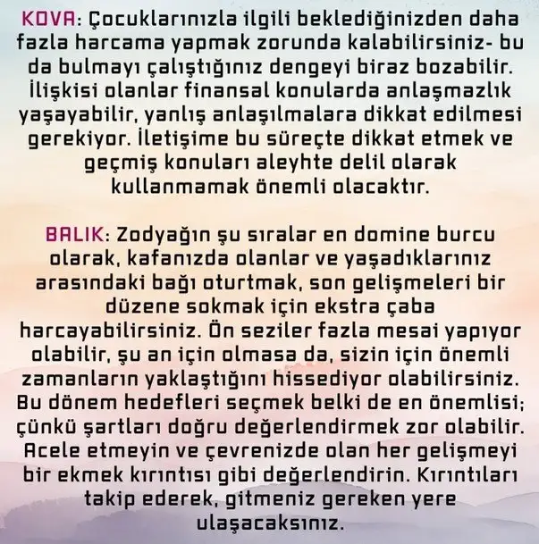 bal7 (6).webp